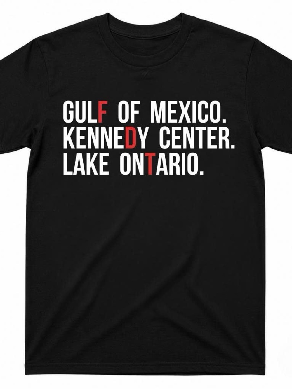 Black Graphic Tee with Lake Ontario